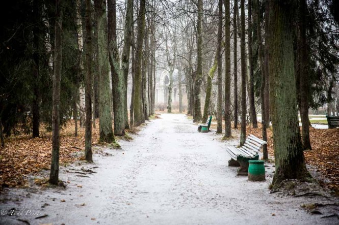 Snow visited Pavlovsk Park on the following day. 