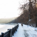 A Russian woman walks her dog along the Moscow River on a cold but sunny Moscow winter day.