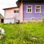 One of the many colorful village homes around Tikhmanga. A cat or dog can usually be found nearby.