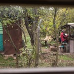Salavat as seen gathering outwood outside his home. The photo is taken through the window.