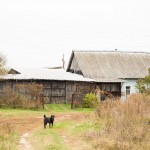 A dog guarding a house in Troitskoe village.