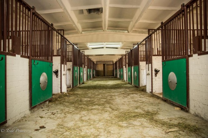 Kopiski rents out stable space to Muscovites who don't have their own space to keep their horses. 