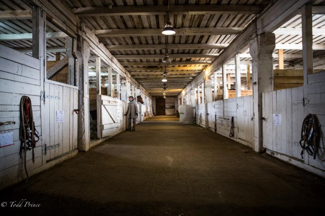 Inside one of the refurbished horse stables.
